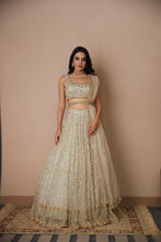 Load image into Gallery viewer, GREY ORGANZA JAAL WORK LEHENGA SET