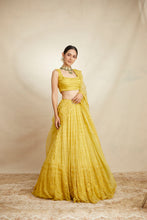 Load image into Gallery viewer, MUSTARD THREADWORK LEHENGA SET