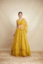 Load image into Gallery viewer, MUSTARD THREADWORK LEHENGA SET