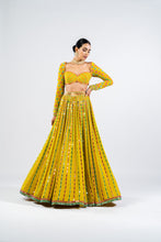 Load image into Gallery viewer, MOSS GREEN LINEAR DROP LEHENGA SET