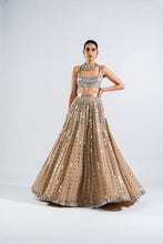 Load image into Gallery viewer, BEIGE LINEAR DROP LEHENGA WITH METALLIC BLOUSE