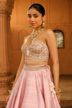 Load image into Gallery viewer, Light lehenga
