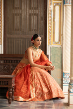 Load image into Gallery viewer, Rust lehenga set

