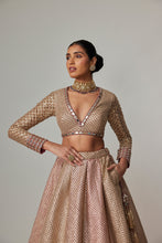 Load image into Gallery viewer, DEEP BEIGE MULTICOLOR V NECK CROP TOP WITH SKIRT
