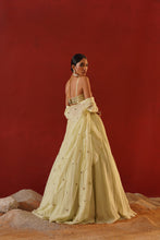 Load image into Gallery viewer, Mint green organza lehenga choli set
