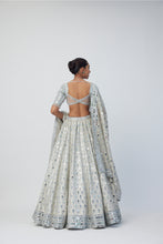 Load image into Gallery viewer, Silver Shimmer Organza  Lehenga Set
