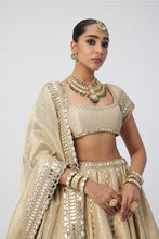 Load image into Gallery viewer, Golden Shimmer Organza Linear Lehenga Set
