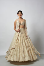 Load image into Gallery viewer, Shravani Lehenga Set
