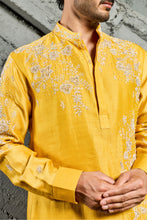 Load image into Gallery viewer, Marigold Dream Embroidered Kurta Set
