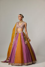 Load image into Gallery viewer, MUSTARD MULTICOLOR LINEAR LEHENGA WITH V NECK BLOUSE

