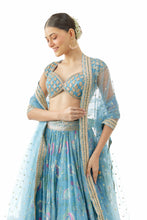 Load image into Gallery viewer, Zil Lehenga Set
