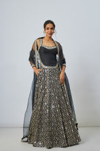 Load image into Gallery viewer, Roshni Lehenga Set
