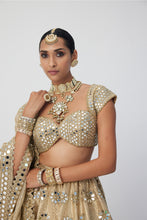 Load image into Gallery viewer, Golden Shimmer Organza Flower Lehenga Set
