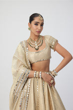 Load image into Gallery viewer, Golden Shimmer Organza Linear Lehenga Set
