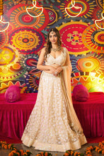 Load image into Gallery viewer, Beige Sequin work lehenga set
