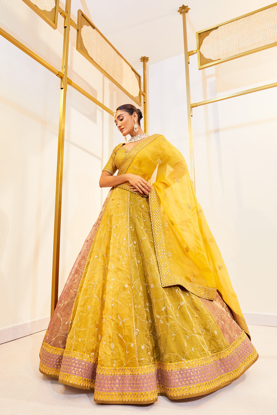 Bel jaal multi - Honeyed Multicolour Tissue Lehenga Set