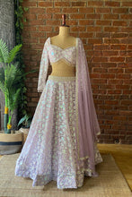 Load image into Gallery viewer, Periwinkle Sequin work lehenga set
