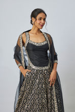 Load image into Gallery viewer, Roshni Lehenga Set
