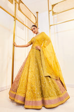 Load image into Gallery viewer, Bel jaal multi - Honeyed Multicolour Tissue Lehenga Set

