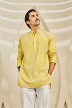 Load image into Gallery viewer, Peela Bagh Kurta Set

