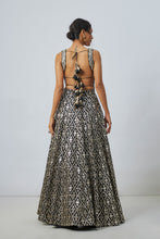 Load image into Gallery viewer, Roshni Lehenga Set
