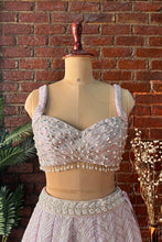 Load image into Gallery viewer, Multipanel and multicolour lehenga set
