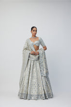 Load image into Gallery viewer, Silver Shimmer Organza  Lehenga Set
