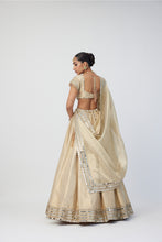Load image into Gallery viewer, Golden Shimmer Organza Linear Lehenga Set
