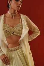 Load image into Gallery viewer, Mint green organza lehenga choli set
