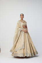 Load image into Gallery viewer, Golden Shimmer Organza Linear Lehenga Set
