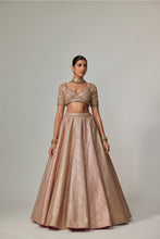 Load image into Gallery viewer, DEEP BEIGE MULTICOLOR METALLIC LEHENGA WITH ELBOW BLOUSE
