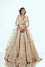 Load image into Gallery viewer, DAISY BEIGE - DAISY ORGANZA LEHENGA SET
