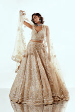 Load image into Gallery viewer, DAISY BEIGE - DAISY ORGANZA LEHENGA SET
