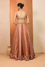 Load image into Gallery viewer, Rust lehenga set

