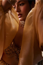 Load image into Gallery viewer, Honeycomb mermaid lehenga
