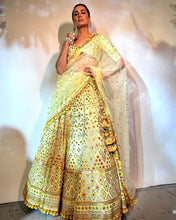 Load image into Gallery viewer, Sonali kasahay In Anha Lehenga Set
