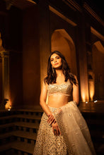 Load image into Gallery viewer, Daina Lehenga Set
