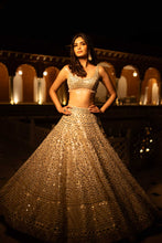 Load image into Gallery viewer, Daina Lehenga Set
