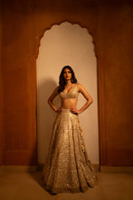 Load image into Gallery viewer, Daina Lehenga Set

