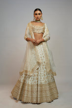 Load image into Gallery viewer, Golconda Shahi lehenga set
