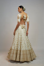 Load image into Gallery viewer, Golconda Shahi lehenga set
