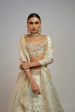 Load image into Gallery viewer, Golconda Shahi lehenga set
