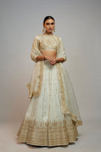 Load image into Gallery viewer, Golconda Naima lehenga set
