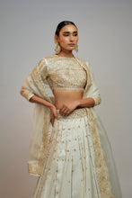 Load image into Gallery viewer, Golconda Naima lehenga set
