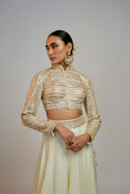 Load image into Gallery viewer, Golconda Shaziya  skirt set
