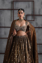 Load image into Gallery viewer, Brown embroidered blouse, lehenga and dupatta
