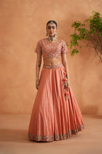 Load image into Gallery viewer, Coral embroidery blouse, Brocade lehnaga and dupatta
