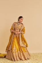 Load image into Gallery viewer, Aashina  - Dabka Zardozi Embroidered Pure Tissue Mustard Lehenga Set
