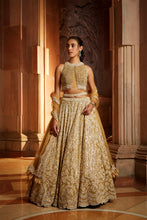 Load image into Gallery viewer, GOLD TULLE LEHENGA CHOLI DUPATTA SET WITH WORKED BELT
