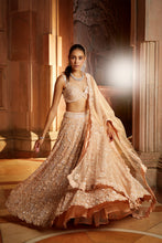 Load image into Gallery viewer, PEACH TULLE LEHENGA CHOLI DUPATTA SET
